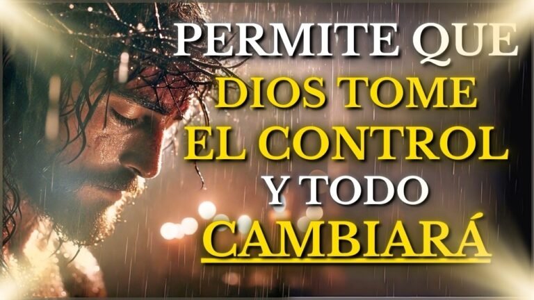 🎬 Youtube de @SoyLuzViva · NdN0X4X09Ac por María Luz Viva